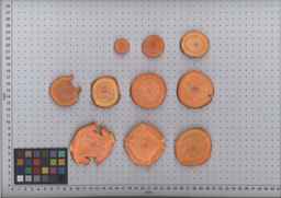 PI_516001_91ncai01_SD_RT_TS_2009-08-12_01.jpg