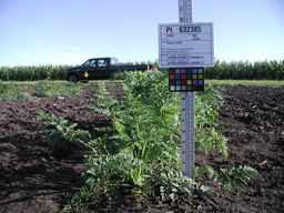 PI_632385_02ncei51_SD_PL_XX_2009-07-31_01.jpg
