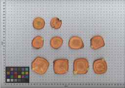 PI_632385_02ncei51_SD_RT_TS_2009-08-13_01.jpg