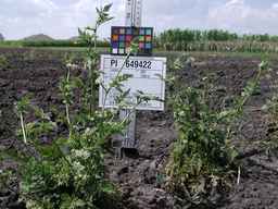 PI_649422_02ncai01_SD_PL_XX_2008-08-18_02.jpg