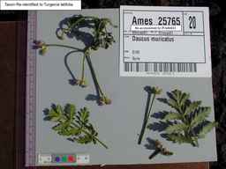 PI_649433_99ncao01_SD_PL_CL_2000-08-25_01.jpg