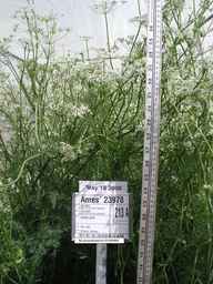 PI_649440_97ncao01_SD_PL_FL_2006-05-18_01.jpg