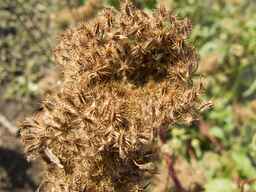 PI_652233_03ncai01_SD_SD_XX_2012-09-14_01.jpg