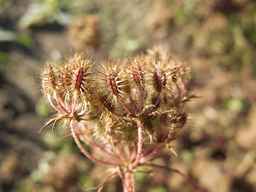 PI_652233_03ncai01_SD_SD_XX_2012-09-14_03.jpg