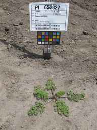 PI_652327_06ncab01_SD_PL_XX_2011-07-06_01.jpg