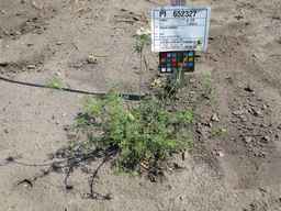 PI_652327_06ncab01_SD_PL_XX_2011-08-11_01.jpg