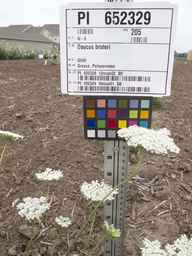 PI_652329_04ncai01_SD_PL_UM_2012-06-29_01.jpg