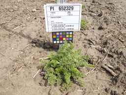 PI_652329_04ncai01_SD_PL_XX_2012-06-05_02.jpg