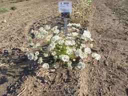 PI_652329_04ncai01_SD_PL_XX_2012-07-19_02.jpg