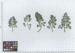 PI_652331_04ncai01_SD_PL_LV_2012-06-12_01.jpg