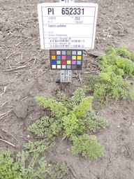 PI_652331_04ncai01_SD_PL_XX_2012-06-07_02.jpg