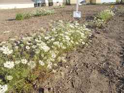 PI_652331_04ncai01_SD_PL_XX_2012-07-17_03.jpg