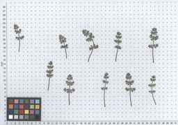 PI_652332_01ncai01_SD_PL_LV_2012-05-30_01.jpg