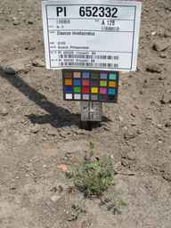 PI_652332_01ncai01_SD_PL_XX_2011-07-06_01.jpg