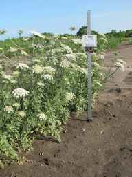 PI_652335_99ncao01_SD_PL_XX_2011-06-24_04.jpg