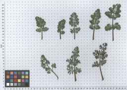 PI_652340_03ncai01_SD_PL_LV_2012-06-12_01.jpg