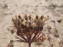 PI_652340_03ncai01_SD_SD_XX_2012-08-23_04.jpg