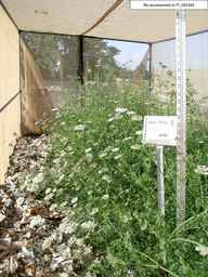 PI_652342_99ncao01_SD_PL_XX_2003-07-31_01.jpg