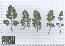 PI_652343_99ncao01_SD_PL_LV_2011-06-07_02.jpg