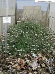 PI_652345_99ncao01_SD_PL_XX_2003-08-11_01.jpg