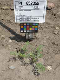 PI_652355_01ncai01_SD_PL_XX_2011-07-06_01.jpg