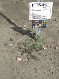 PI_652355_01ncai01_SD_PL_XX_2011-07-13_01.jpg
