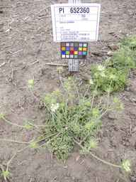 PI_652360_03ncai01_SD_PL_XX_2012-06-15_01.jpg