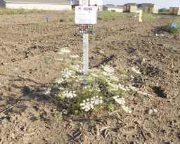 PI_652360_03ncai01_SD_PL_XX_2012-07-17_03.jpg