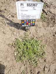 PI_652367_08ncai01_SD_PL_XX_2012-06-05_02.jpg
