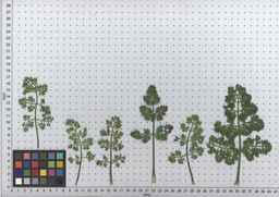 PI_652385_01ncai01_SD_PL_LV_2010-06-30_01.jpg