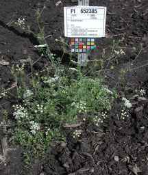 PI_652385_01ncai01_SD_PL_XX_2010-07-13_02.jpg