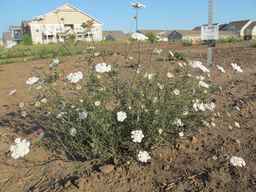 PI_652387_02ncai01_SD_PL_XX_2012-07-11_03.jpg