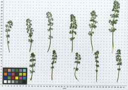PI_652412_04ncai01_SD_PL_LV_2012-05-29_01.jpg
