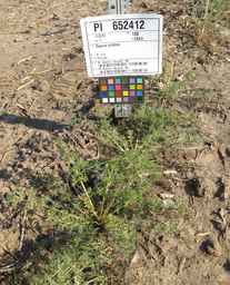 PI_652412_04ncai01_SD_PL_XX_2012-07-11_01.jpg