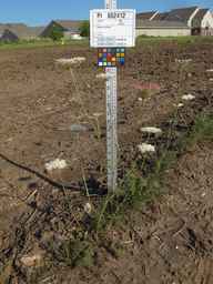 PI_652412_04ncai01_SD_PL_XX_2012-07-11_02.jpg