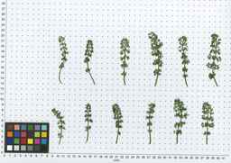PI_652413_04ncai01_SD_PL_LV_2012-05-29_01.jpg