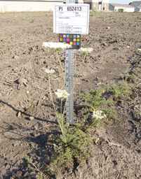 PI_652413_04ncai01_SD_PL_XX_2012-07-16_02.jpg
