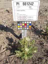 PI_661242_10ncao01_SD_PL_XX_2012-07-18_02.jpg