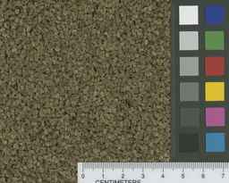 PI_661242_10ncao01_SD_SD_MS_2011-05-06_01.jpg