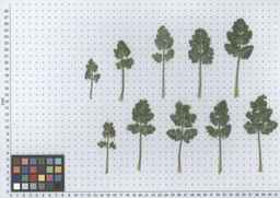 PI_661242_10ncao51_SD_PL_LV_2012-07-11_01.jpg