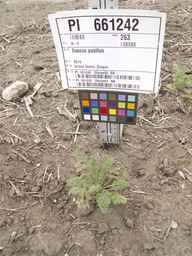 PI_661242_10ncao51_SD_PL_XX_2012-06-15_01.jpg