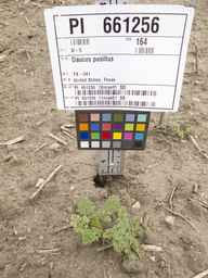 PI_661256_11ncao51_SD_PL_XX_2012-06-15_01.jpg