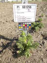 PI_661256_11ncao51_SD_PL_XX_2012-07-18_01.jpg