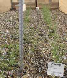 PI_669955_02ncai01_SD.JPG