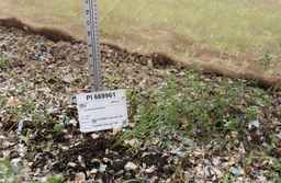 PI_669961_00ncai01_SD.JPG