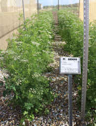 PI_689699_92ncai01_SD.JPG