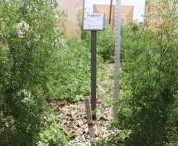PI_689721_92ncai01_SD.JPG