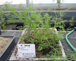 PI_694109_07ncao01_SD.JPG