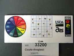 w6_33200s.jpg
