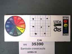 w6_35390s.jpg